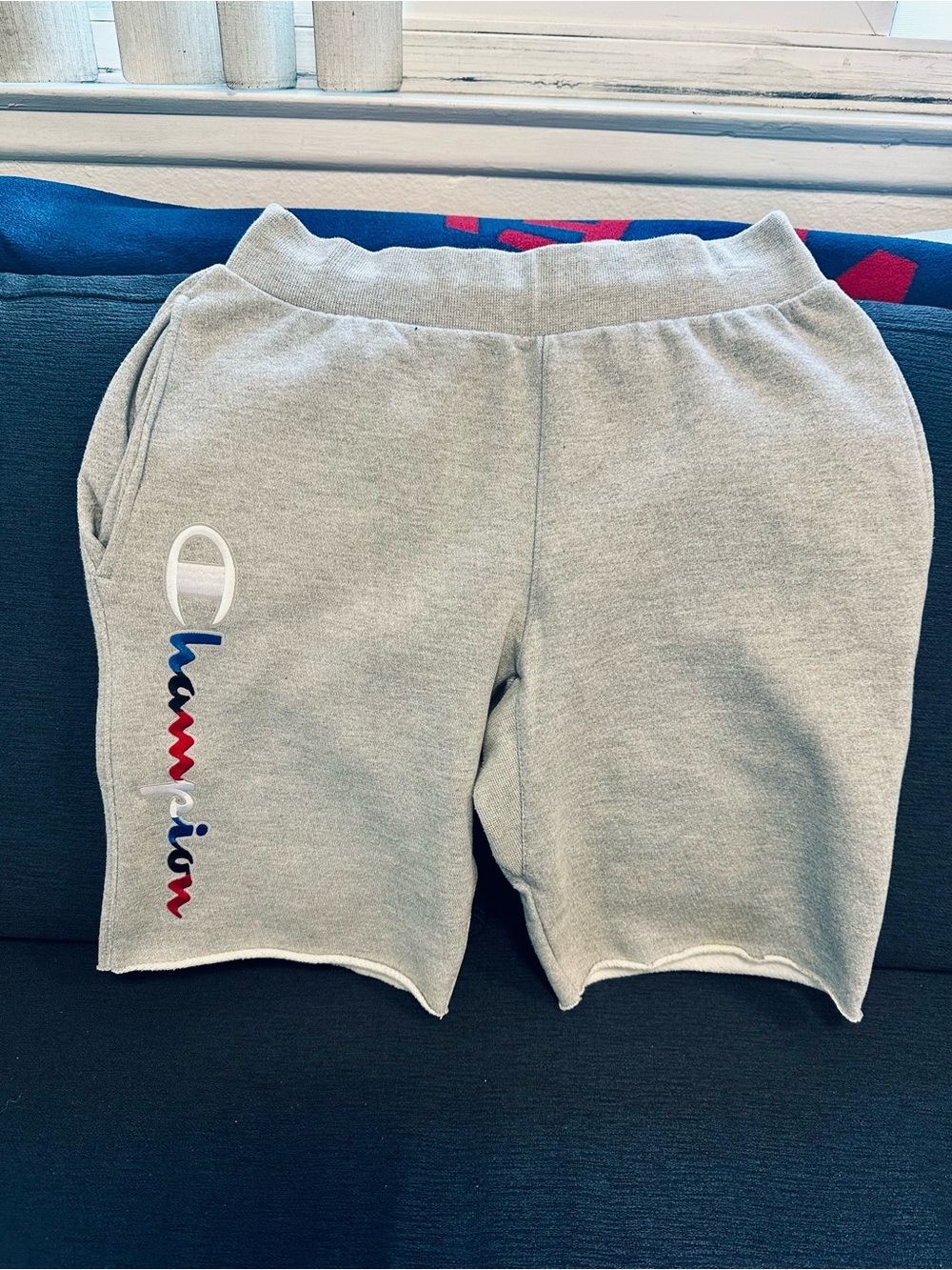 Vtg Y2K Classic Champion Gray Logo Lightweight Drawstring Shorts Size S Unisex